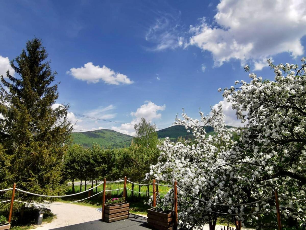 Agroturystyka Pod Sniezna Bystrzyca Kłodzka Exterior foto