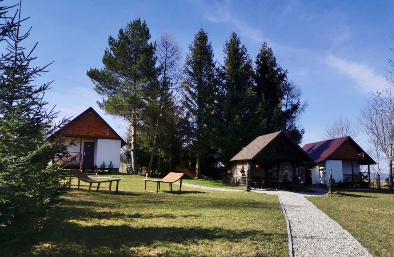 Agroturystyka Pod Sniezna Bystrzyca Kłodzka Exterior foto