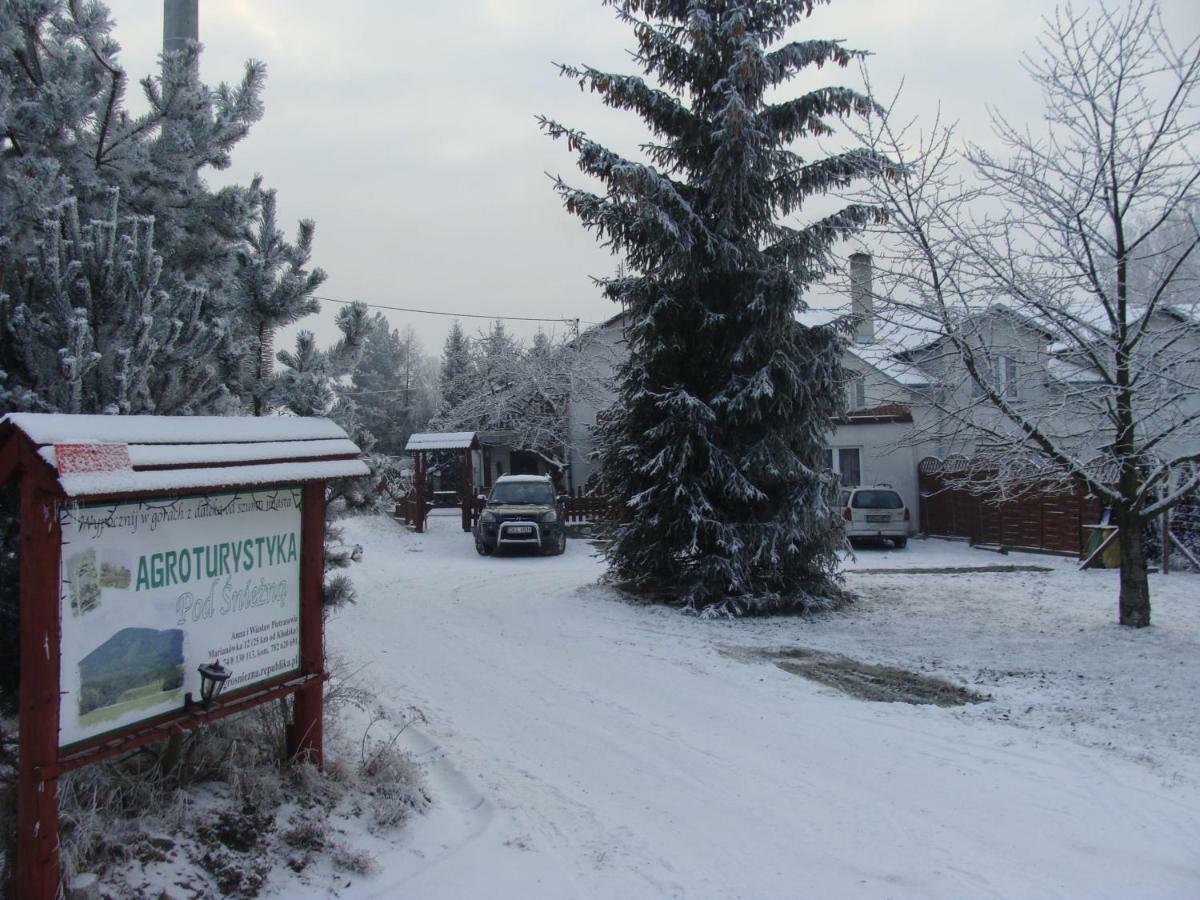 Agroturystyka Pod Sniezna Bystrzyca Kłodzka Exterior foto