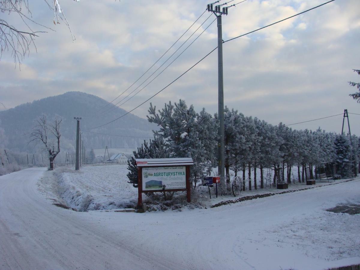 Agroturystyka Pod Sniezna Bystrzyca Kłodzka Exterior foto