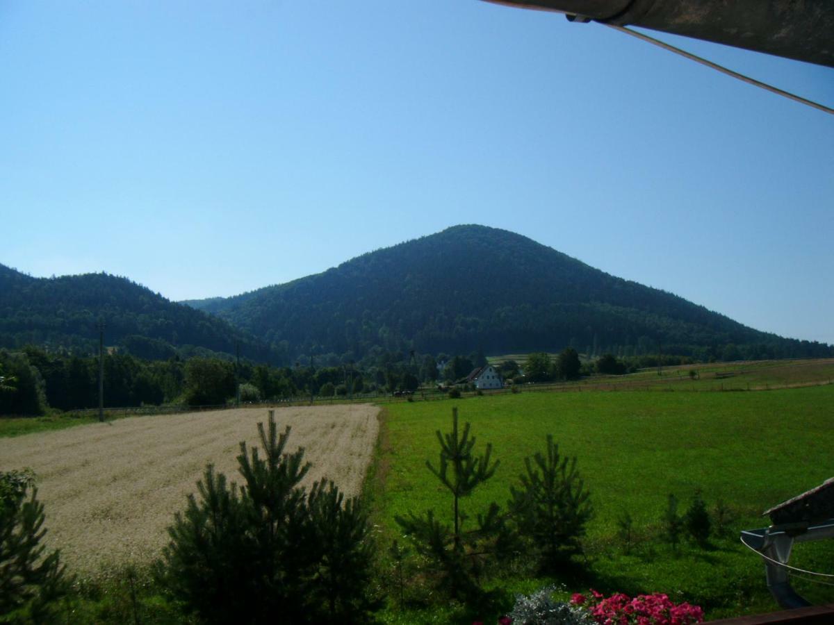 Agroturystyka Pod Sniezna Bystrzyca Kłodzka Exterior foto